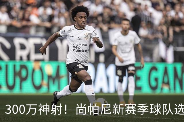 300万神射！尚帕尼新赛季球队选项 马刺可提供起薪2100万续约合同